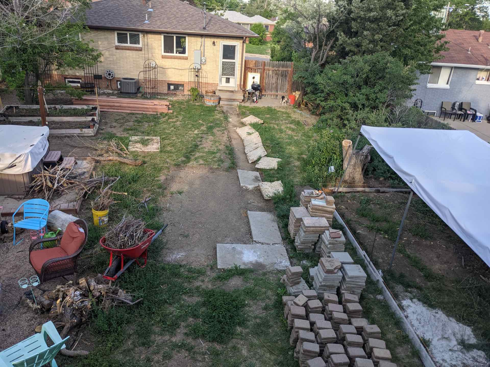 Clearing the backyard